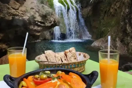 Image portraying the idyllic Day Trip Ourika Valley, with its lush landscapes, traditional Berber houses nestled among the hills, and the crystal-clear Ourika River flowing gracefully,