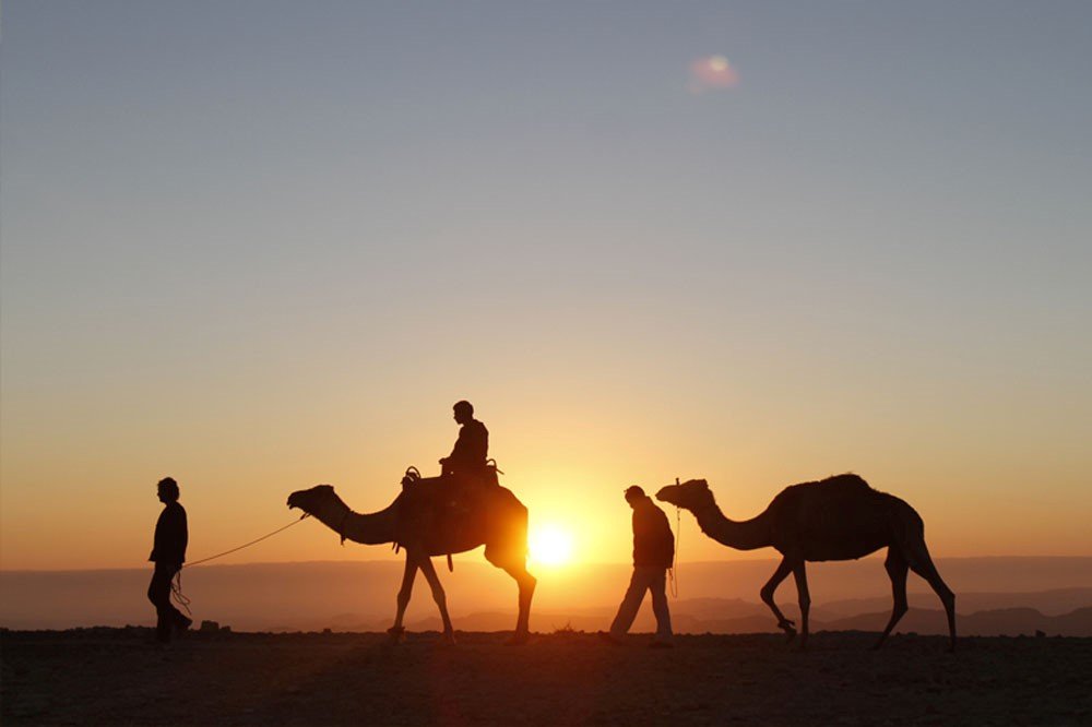 Silhouettes of camels and guides at sunset during a Sahara desert expedition in Morocco.