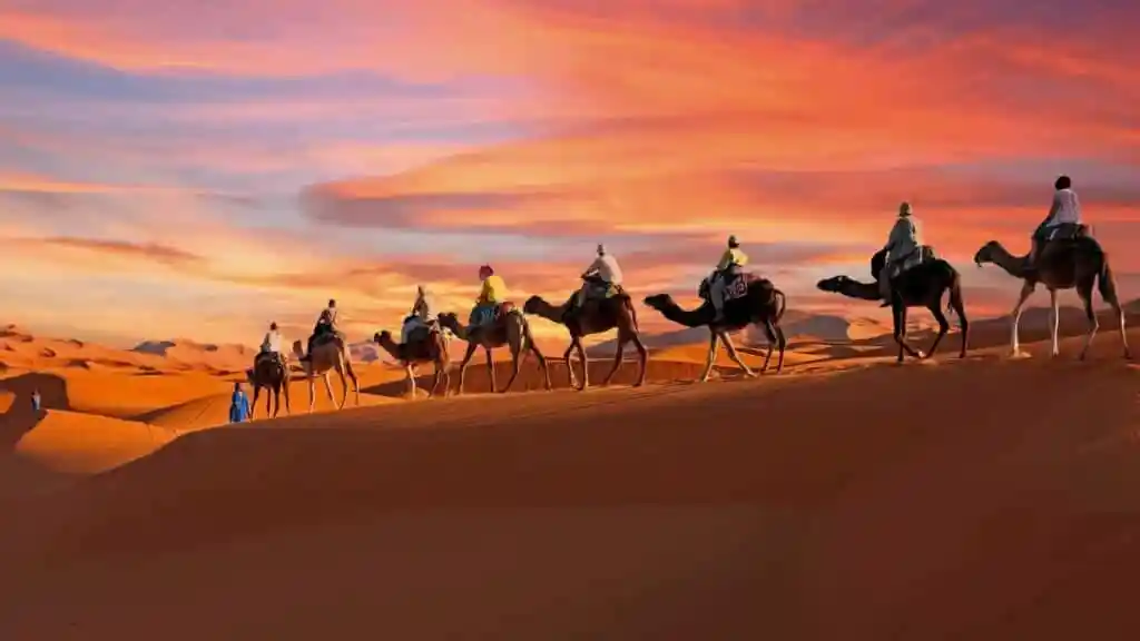 camel trekking in morocco cost